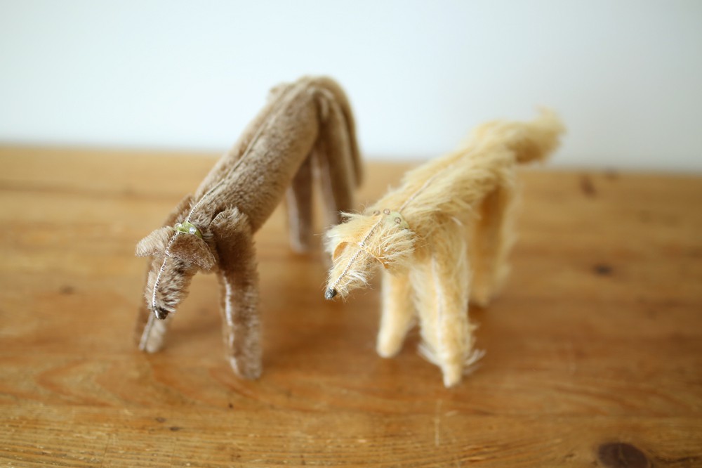 __IMG_5096 __IMG_5096