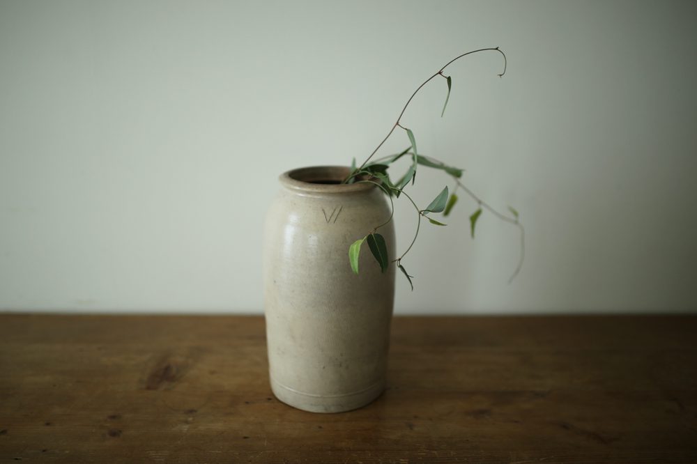__IMG_3979 __IMG_3979