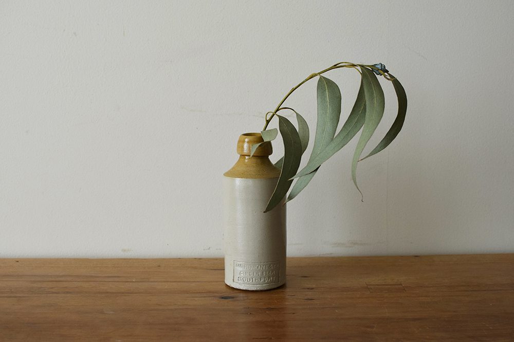 ginger_bottle_01 ginger_bottle_01